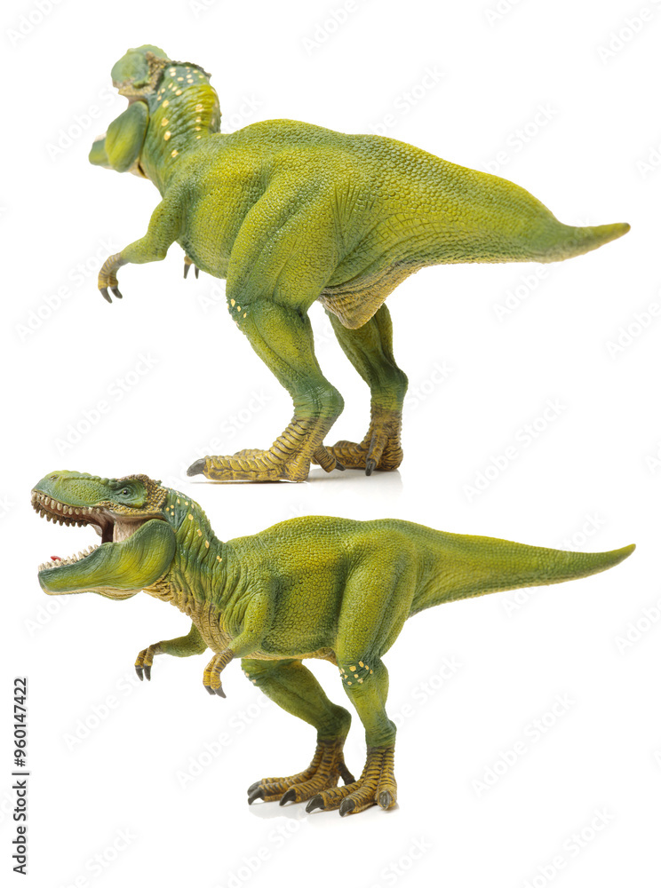 Naklejka premium green tyrannosaurus on white background