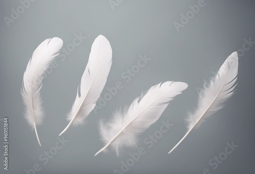 White feathers flying in the air isolated