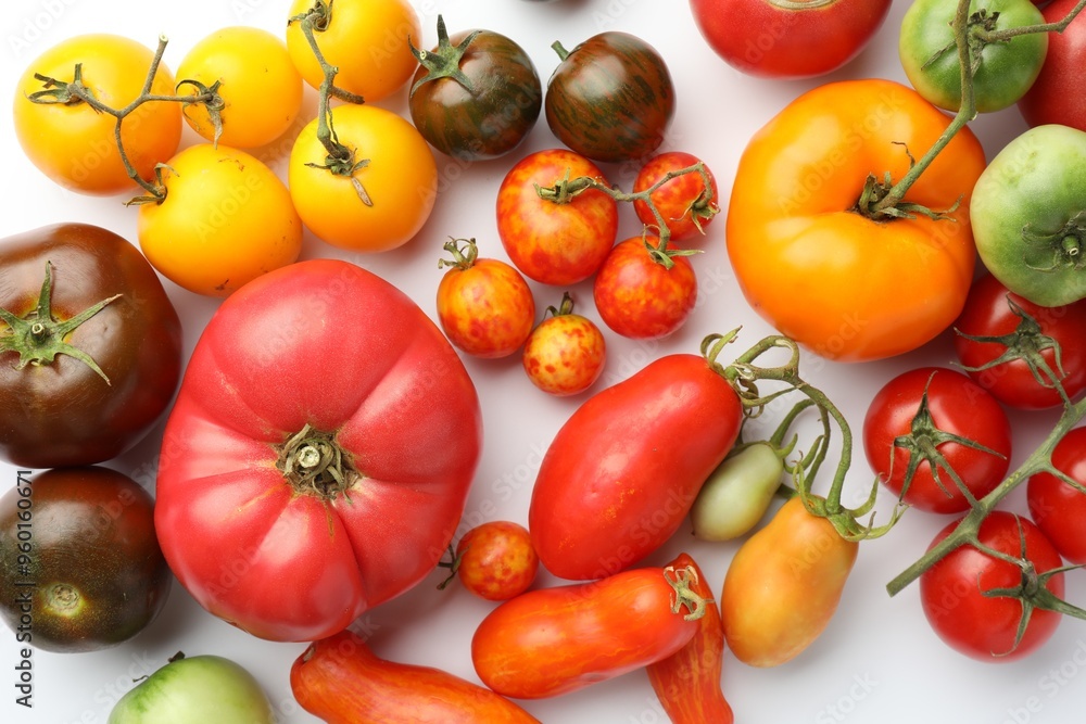 Different ripe tomatoes on white background, flat lay Different ripe tomatoes on white background, flat lay