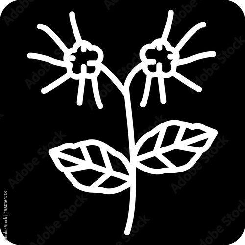 Witch Hazel Icon