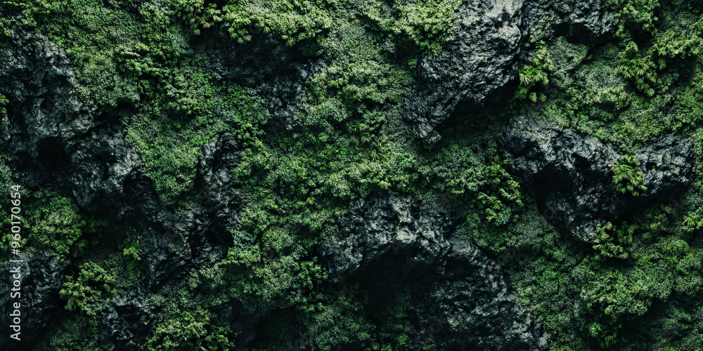 A dark green textured surface with a rough, uneven texture, mimicking the feel of moss-covered rocks in a dense forest. A dark green textured surface with a rough, uneven texture, mimicking the feel of moss-covered rocks in a dense forest.