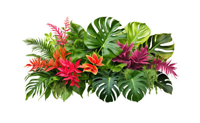 Vibrant tropical plants arranged artistically on a transparent background showcasing lush green foliage and colorful flowers