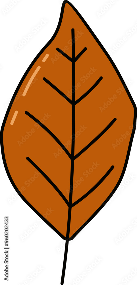 Autumn Leaf Illustration Autumn Leaf Illustration