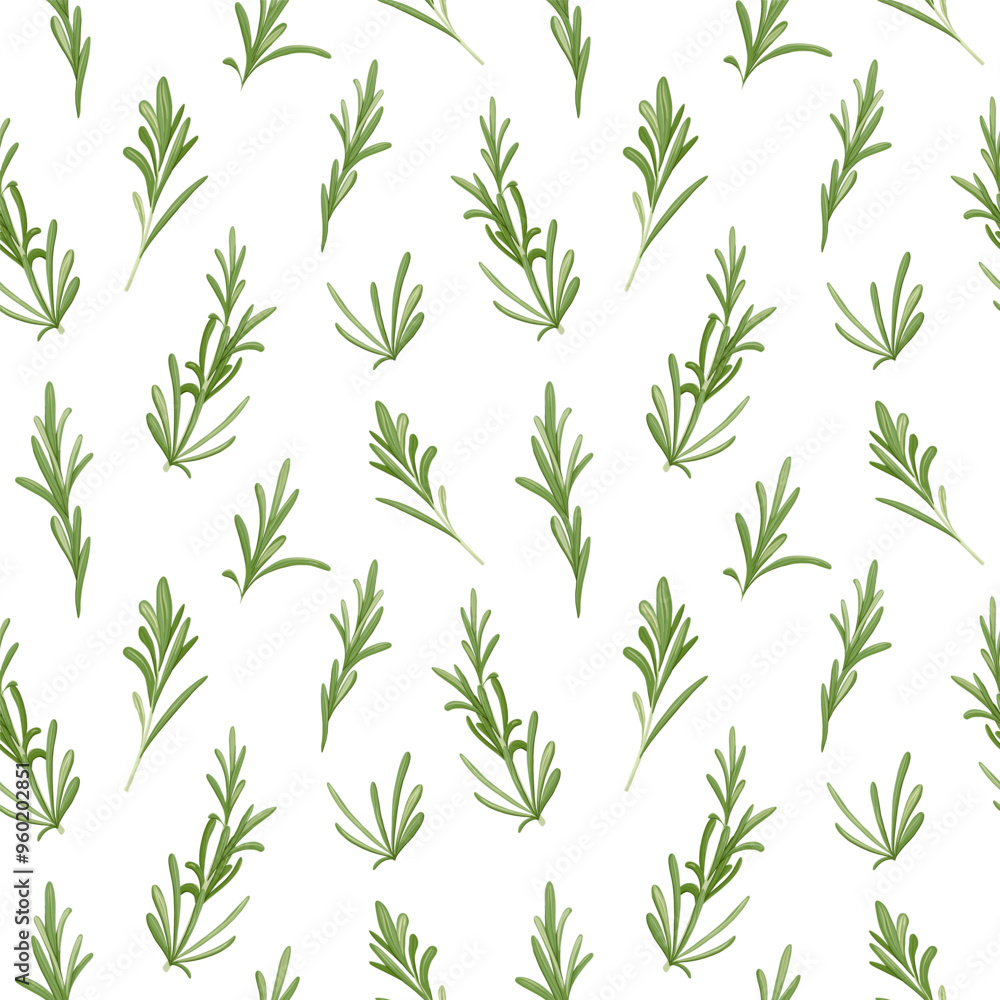 Fototapeta premium Rosemary sprigs seamless pattern. Spice herb vector ornament. Hand drawn print for food, drink, flavour, aroma packaging, wrapping, apparel, beauty products. White background