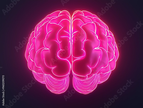 Neonlabeled crosssection of the brain, 3D illustration photo