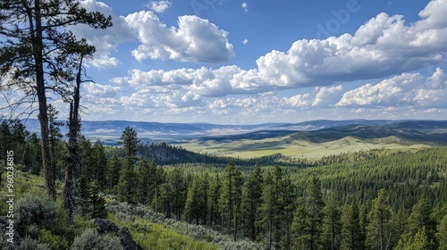 A scenic overlook in Yellowstone, with vast forests and distant mountains under a partly cloudy sky.