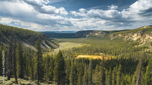 A scenic overlook in Yellowstone, with vast forests and distant mountains under a partly cloudy sky.