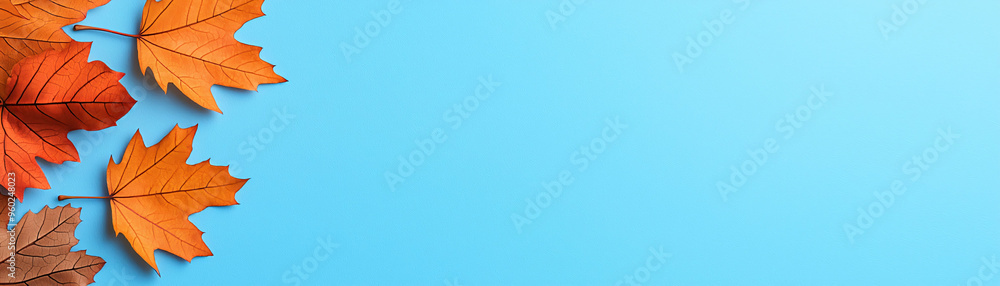 Obraz premium Colorful autumn leaves arranged on cool blue background create vibrant and refreshing scene.