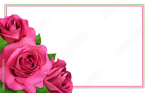 Red rose flowers and green ...
