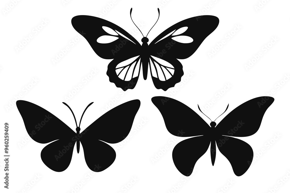 vector illustration of a butterfly silhouette set vector illustration of a butterfly silhouette set