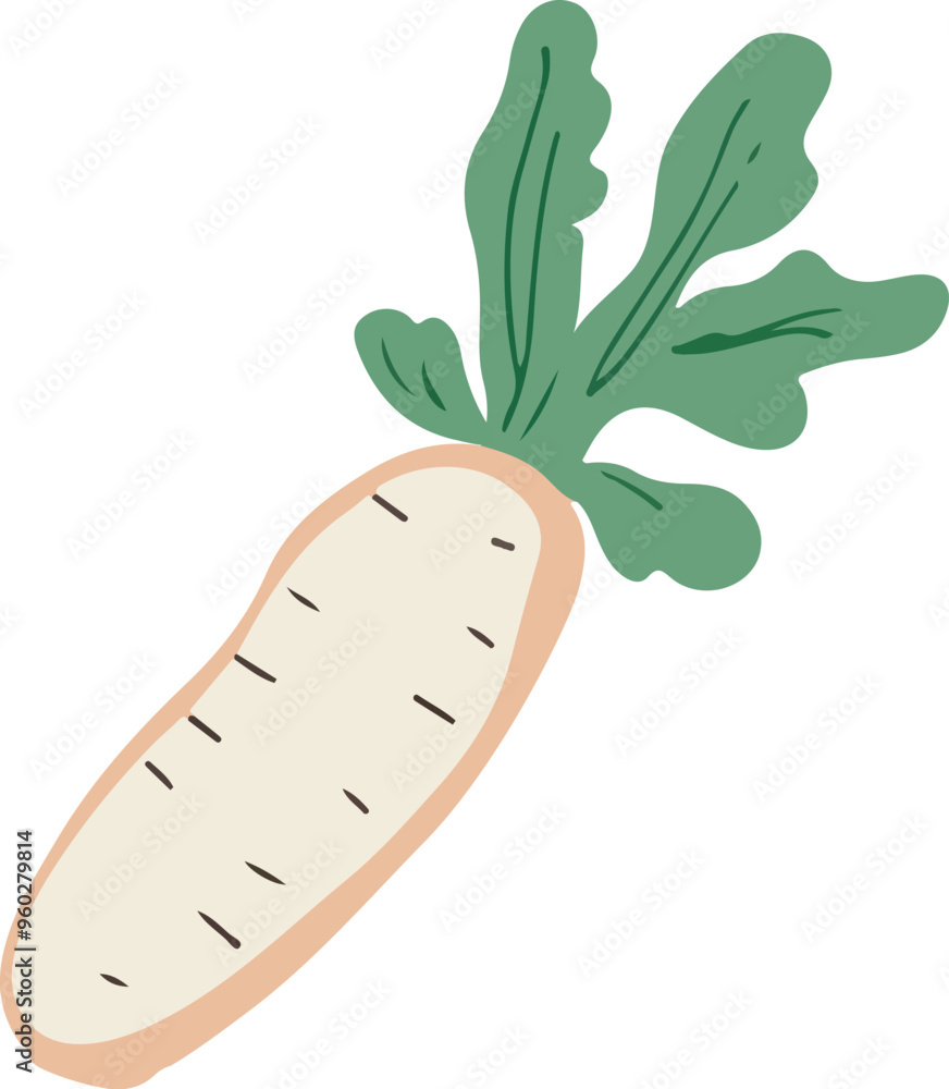Vector illustration of a root vegetable, suitable for healthy lifestyle designs Vector illustration of a root vegetable, suitable for healthy lifestyle designs