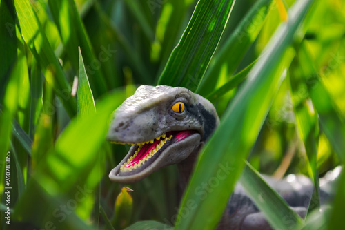 Velociraptor dinosaur toy in the middle of lush green grass photo