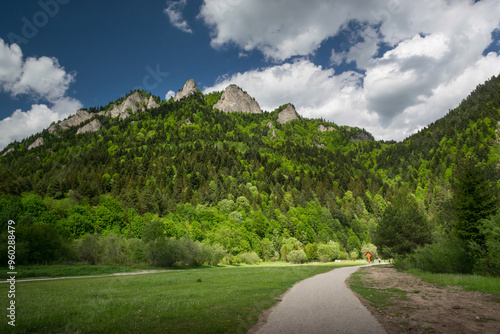 Fototapeta Naklejka Na Ścianę i Meble -  view of the Three Crowns, Polish Pieniny Mountains