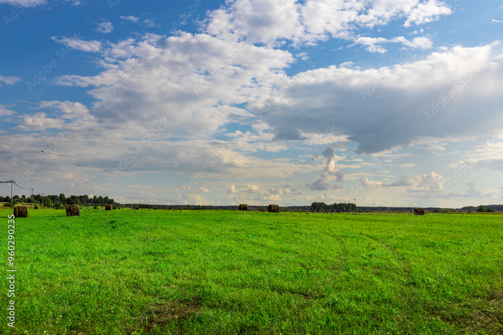 A field of green grass with a few hay bales scattered around A field of green grass with a few hay bales scattered around