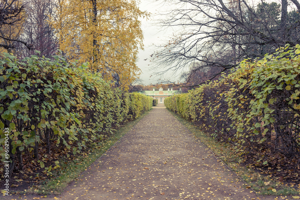 Fototapeta premium A path through a garden with a house in the background