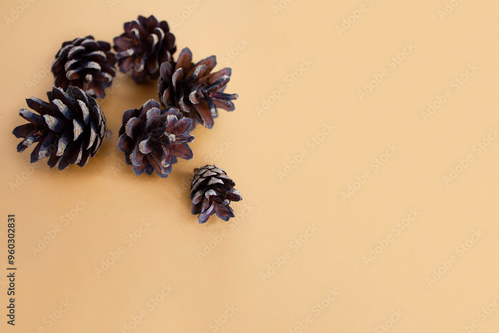 warm background with christmas decoration with cones warm background with christmas decoration with cones