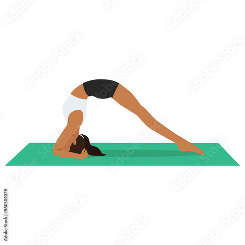 Young woman doing Two legged Inverted Staff Pose or Dvi Pada Viparita Dandasana yoga exercise. Flat vector illustration isolated on white background