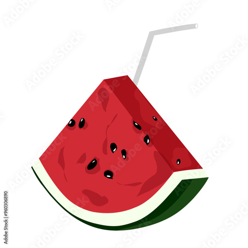 vector watermelon fruit with fresh red triangular slices