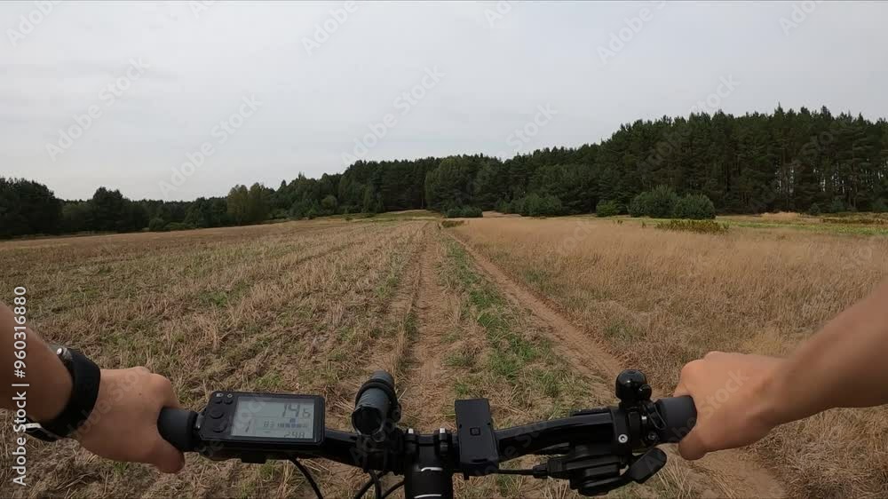 Point of view. Cyclists riding electric mountain bikes in the forest. Concept of adventure, leisure time outdoors. Point of view. Cyclists riding electric mountain bikes in the forest. Concept of adventure, leisure time outdoors.