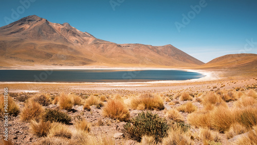 Situated on the Andean altiplano near San Pedro de Atacama in Chile, ,Laguna Miniques showcases its serene waters framed by rugged mountains and golden grasses under brilliant sunlight photo