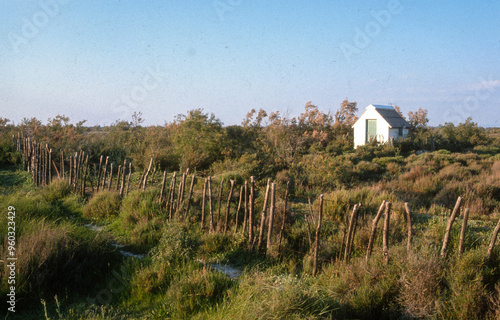 Parc naturel régional, Camargue,  13, Bouches du Rhone, France photo