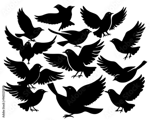 Set of black bird silhouettes. Vector elements for design. 