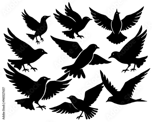 Set of black bird silhouettes. Vector elements for design. 