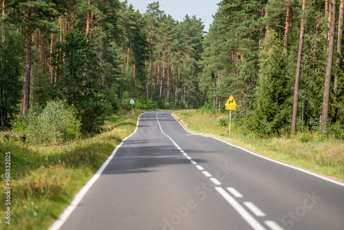 Fototapeta Naklejka Na Ścianę i Meble -  An asphalt road going through a forest in Masuria