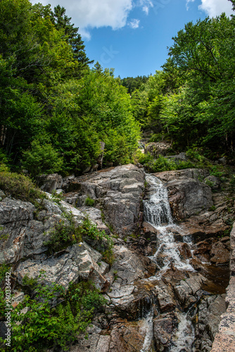 Waterfalls in the forest