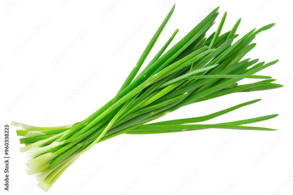 Fresh green onions displayed beautifully, perfect for culinary and health-related projects or recipes. Ideal for food photography. Fresh green onions displayed beautifully, perfect for culinary and health-related projects or recipes. Ideal for food photography.