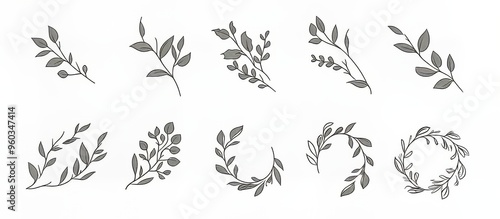 Elegant hand-drawn foliage illustrations in varying styles and arrangements.