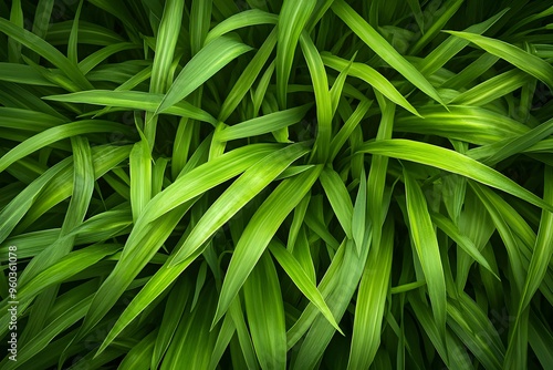  Lush Green Blades of Grass