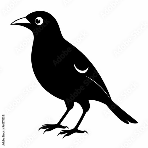 Myna Black silhouette
