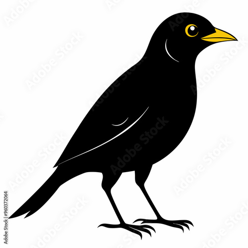 Myna Black silhouette