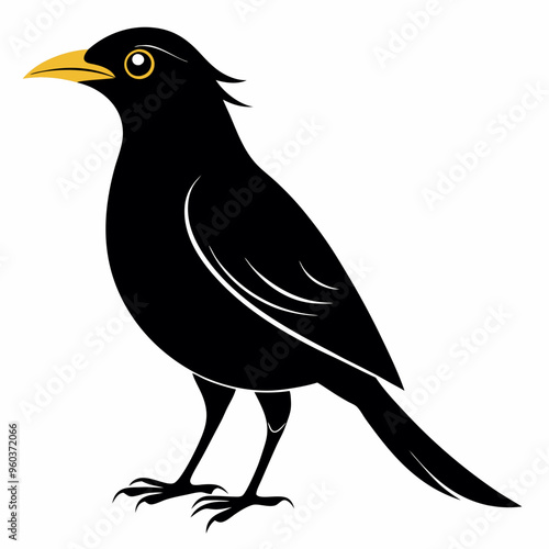 Myna Black silhouette