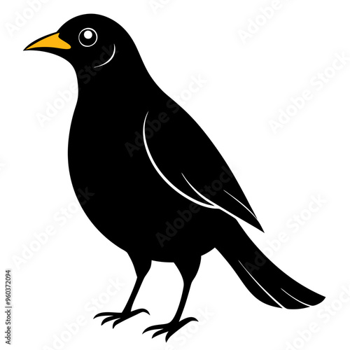 Myna Black silhouette