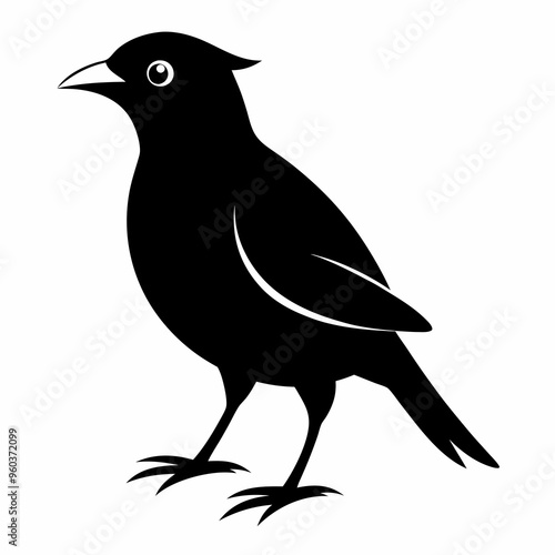 Myna Black silhouette
