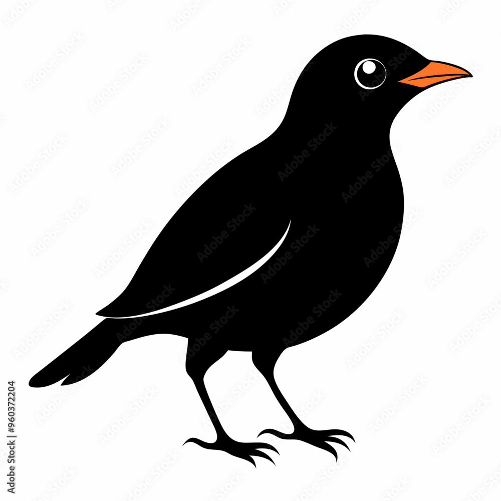 Fototapeta premium Myna Black silhouette