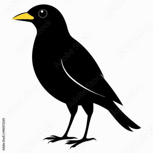 Myna Black silhouette