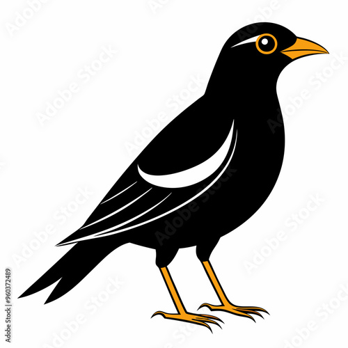 Myna Black silhouette