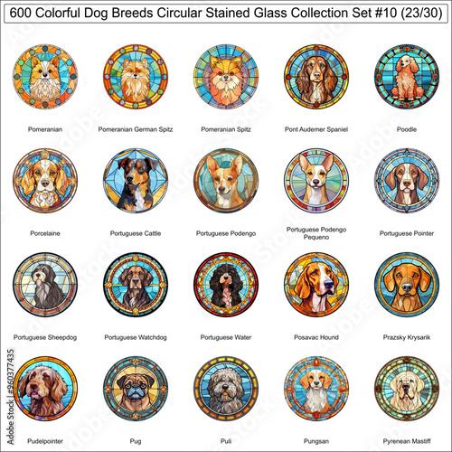 Colorful Dog Breeds Circular Stained Glass Dogs Bundle Collection Set 10 of 600 Dog Faces Isolated Part 23 photo