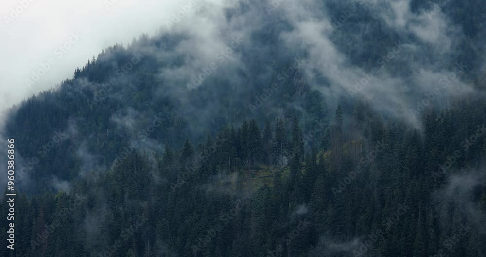 Foggy forest mountain landscape, clouds moving Foggy forest mountain landscape, clouds moving