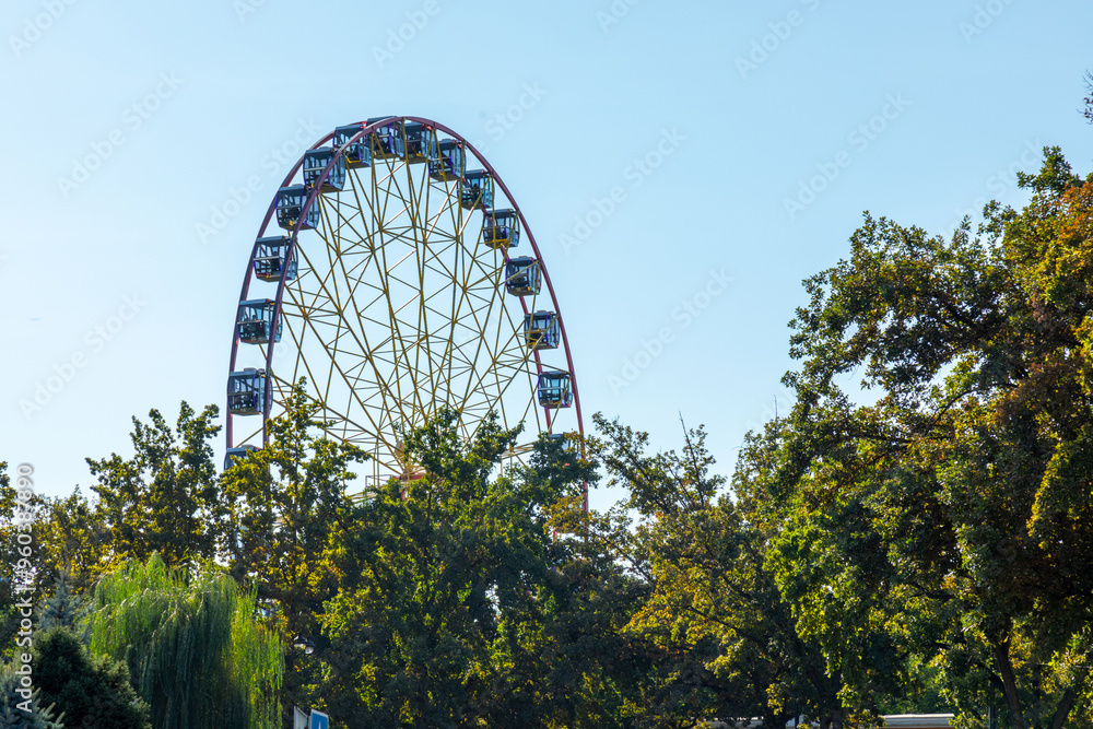 Ferris wheel peeking through trees in Bishkek amusement park Ferris wheel peeking through trees in Bishkek amusement park