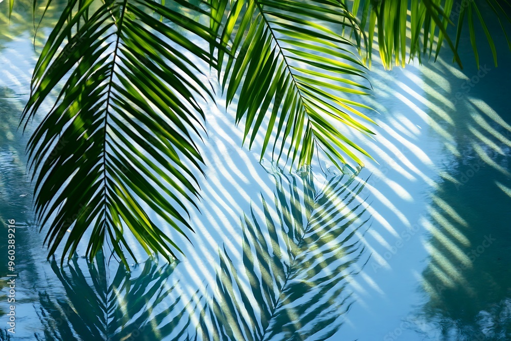 Fototapeta premium Palm Fronds Casting Shadows on Rippling Water