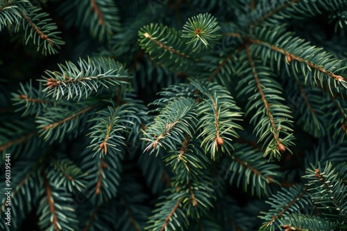 Close-up of fresh green pine needles, showcasing their natural texture and vivid color, evoking a sense of evergreen beauty.