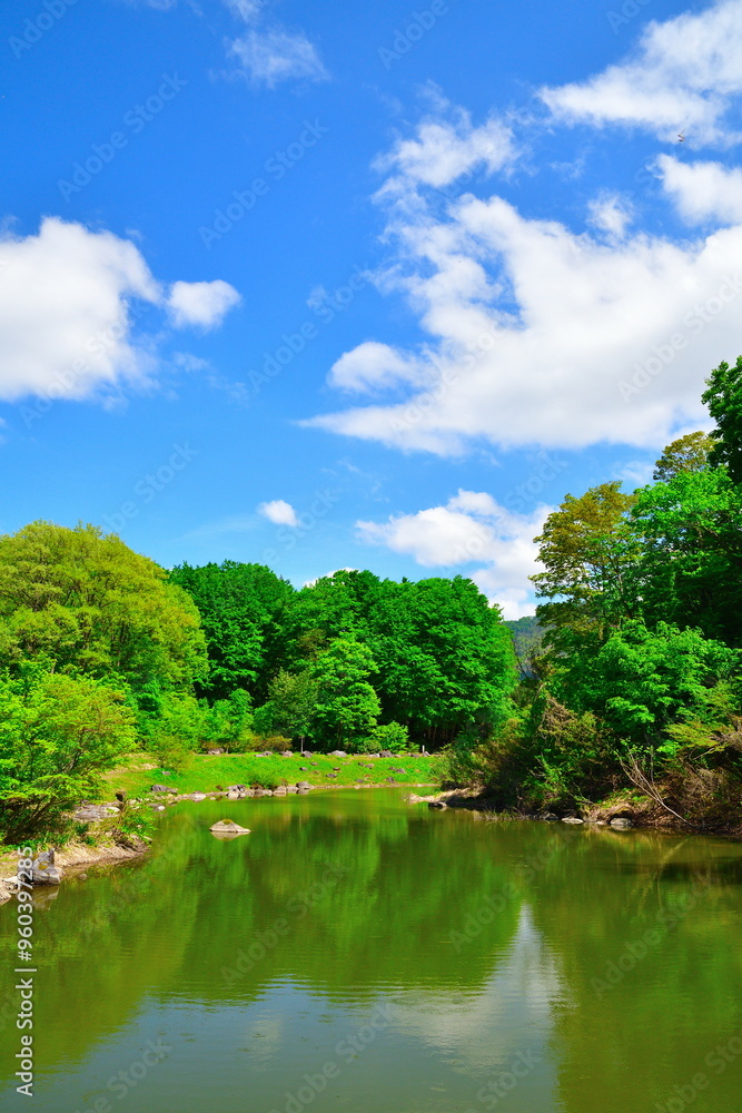 津南見玉公園(新潟県) 津南見玉公園(新潟県)