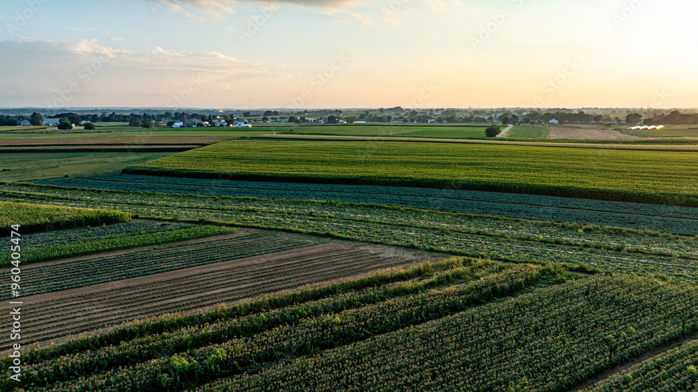 Expansive fields of crops stretch across the landscape, showcasing lush greenery beneath a vibrant sunset. The horizon reveals a tranquil rural setting, emphasizing the beauty of agriculture. Expansive fields of crops stretch across the landscape, showcasing lush greenery beneath a vibrant sunset. The horizon reveals a tranquil rural setting, emphasizing the beauty of agriculture.