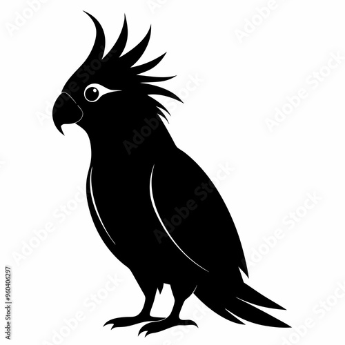 Cockatiel Black silhouette