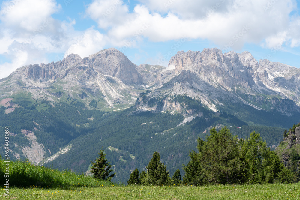 view of rocky mountains of Rosengarten group Catinaccio massif, Dolomites unesco heritage. Val di Fassa valley. green meadow foreground view of rocky mountains of Rosengarten group Catinaccio massif, Dolomites unesco heritage. Val di Fassa valley. green meadow foreground