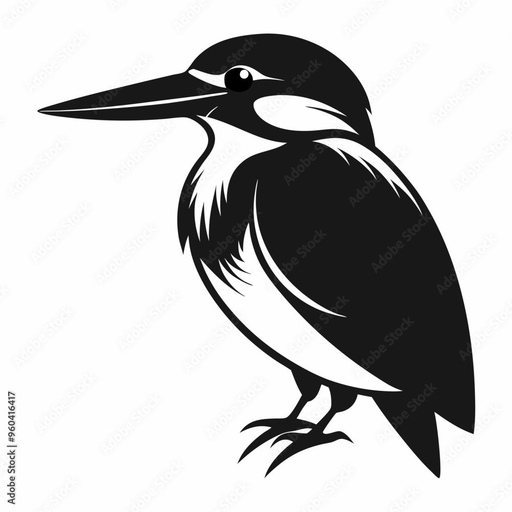 Fototapeta premium Kingfisher Black silhouette